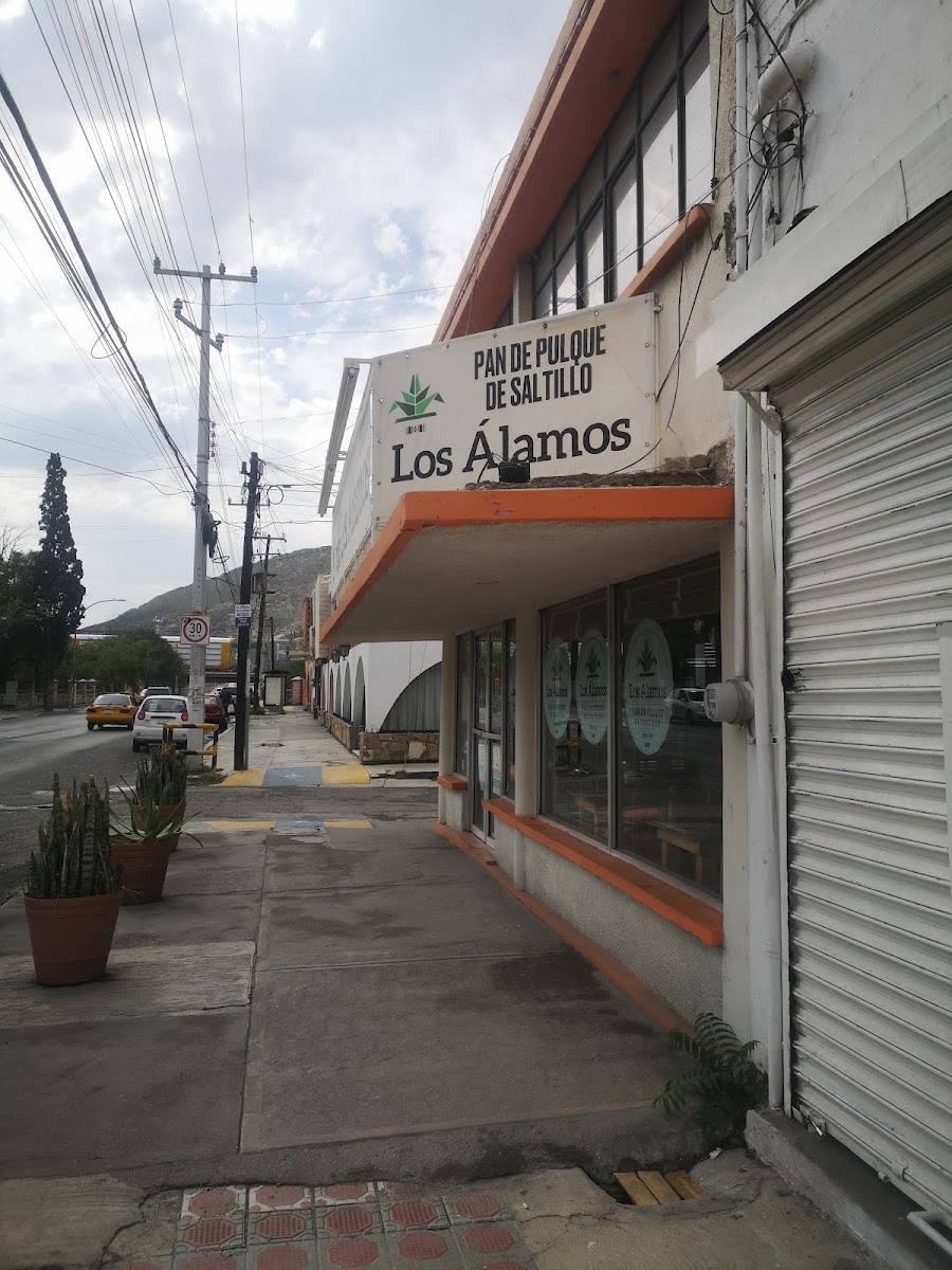 Pan de Pulque Los Álamos